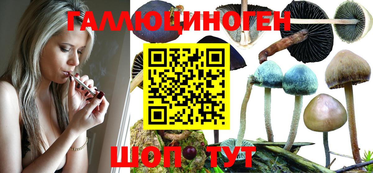 Псилоцибиновые грибы Magic Shrooms Менделеевск