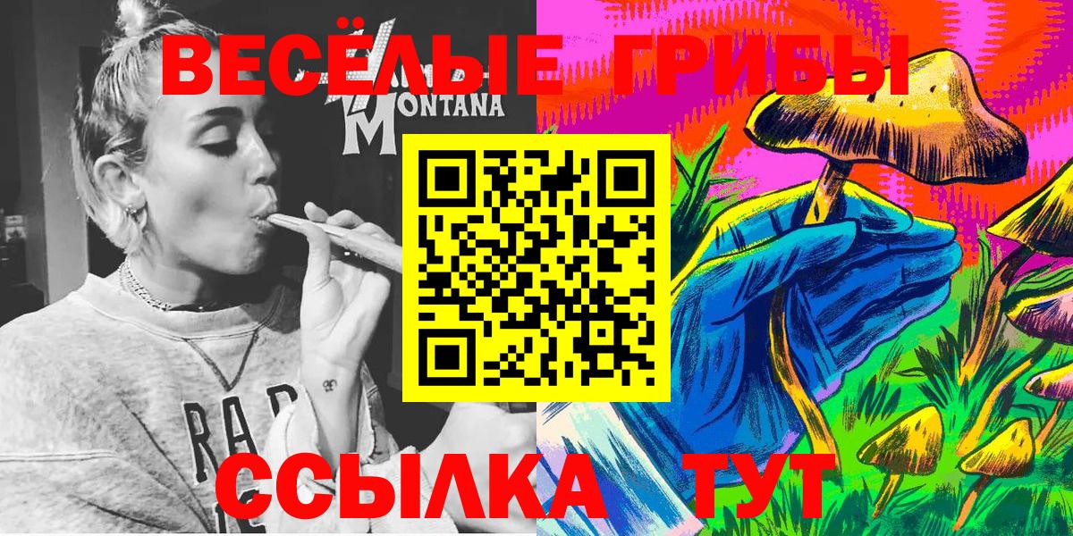 Менделеевск  Псилоцибиновые грибы Psilocybe  Псилоцибиновые грибы Cubensis  Вход с VPN 